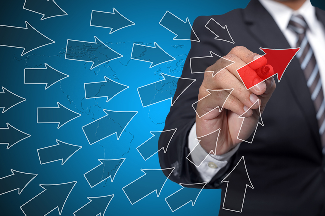 Consulting und Projektmanagement